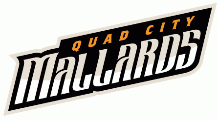 quad city mallards 2014-pres wordmark logo iron on transfers for T-shirts